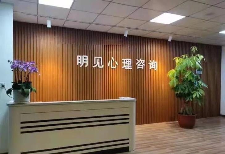 潮州市明見(jiàn)心理科技信息咨詢服務(wù) 以專業(yè)之光，照亮心靈深處